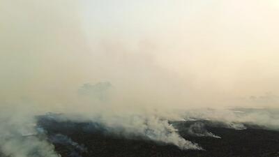 The burning of paddy stubble followed by bursting of crackers on Diwali has also been affecting people’s health in the Majha region. It is leading to spike in respiratory issues. (HT File Photo) The burning of paddy stubble followed by bursting of crackers on Diwali has also been affecting people’s health in the Majha region. It is leading to spike in respiratory issues. (HT File Photo)