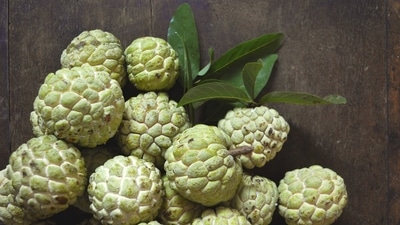 3 delicious and healthy Sitaphal (Custard apple) recipes you must try (pixaybay) 3 delicious and healthy Sitaphal (Custard apple) recipes you must try (pixaybay)