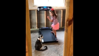 Little girl teaching her pet cat how to use the treadmill. (Twitter/@yoda4ever) Little girl teaching her pet cat how to use the treadmill. (Twitter/@yoda4ever)