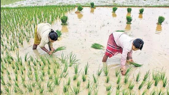 Tripura registered 17 percent less rainfall this year. (Representative Image)