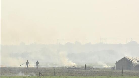 Noida, India - November 02, 2022: Stubble being burnt by farmers in Sector 144, in Noida, India, on Wednesday, November 02, 2022. (Photo by Sunil Ghosh/ Hindustan Times) (Hindustan Times)