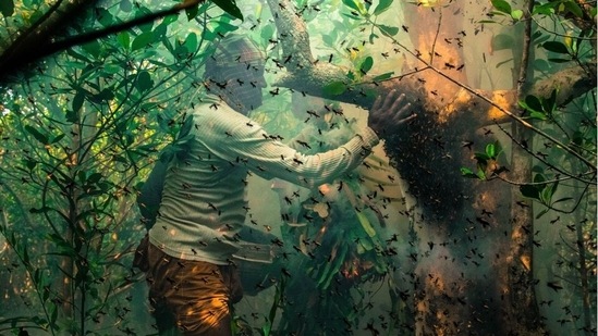 Mangroves and humans – winner. Honey Hunters by Muhammad Mostafigur Rahman, Bangladesh(mangroveactionproject.org)