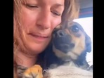 Woman saves puppy from roadside.(Twitter/@buitengebieden) Woman saves puppy from roadside.(Twitter/@buitengebieden)