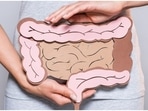 Dietary fibre inulin promotes allergy-related inflammation in lung, gut: Study(Unsplash) Dietary fibre inulin promotes allergy-related inflammation in lung, gut: Study(Unsplash)