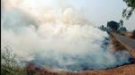 Dry paddy stubble burns in a field in Faridkot on Thursday. (ANI Photo) Dry paddy stubble burns in a field in Faridkot on Thursday. (ANI Photo)
