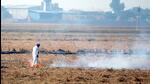 Of the 2,666 incidents on Thursday, 92% cases were reported from the Malwa region. Sangrur recorded the highest farm fire count for the seventh consecutive day as 452 cases were reported form the district. (Sanjeev Kumar/HT Photo) Of the 2,666 incidents on Thursday, 92% cases were reported from the Malwa region. Sangrur recorded the highest farm fire count for the seventh consecutive day as 452 cases were reported form the district. (Sanjeev Kumar/HT Photo)