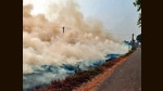 Sangrur district has seen a total 2721 cases of stubble burning in the Kharif (monsoon crop) season. (ANI photo) Sangrur district has seen a total 2721 cases of stubble burning in the Kharif (monsoon crop) season. (ANI photo)