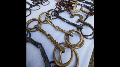 Thorn bits are fitted into mouths of horses used for ceremonies, such as weddings and rides to control them through pain.