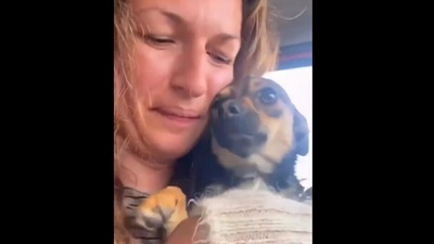 Woman saves puppy from roadside. (Twitter/@buitengebieden) Woman saves puppy from roadside. (Twitter/@buitengebieden)