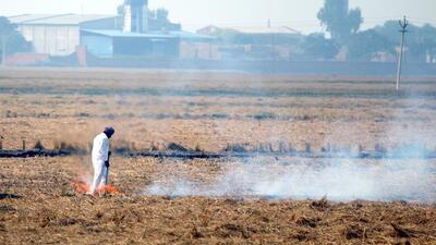 Of the 2,666 incidents on Thursday, 92% cases were reported from the Malwa region. Sangrur recorded the highest farm fire count for the seventh consecutive day as 452 cases were reported form the district. (Sanjeev Kumar/HT Photo) Of the 2,666 incidents on Thursday, 92% cases were reported from the Malwa region. Sangrur recorded the highest farm fire count for the seventh consecutive day as 452 cases were reported form the district. (Sanjeev Kumar/HT Photo)