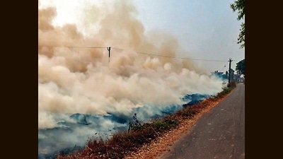 Sangrur district has seen a total 2721 cases of stubble burning in the Kharif (monsoon crop) season. (ANI photo) Sangrur district has seen a total 2721 cases of stubble burning in the Kharif (monsoon crop) season. (ANI photo)