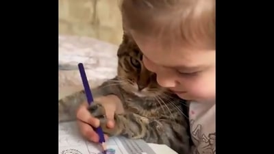 Little girl teaching colouring to her pet cat. (Twitter/@buitengebieden) Little girl teaching colouring to her pet cat. (Twitter/@buitengebieden)