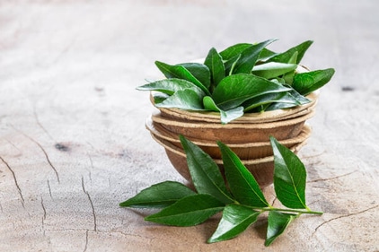 Curry leaves are rich in beta carotenes and helps in hair regrowth. (istockphoto) Curry leaves are rich in beta carotenes and helps in hair regrowth. (istockphoto)