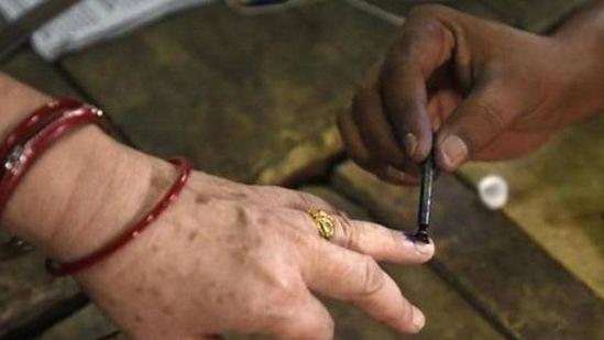 Gujarat will vote on December 1 and 5 (Representative Image) Gujarat will vote on December 1 and 5 (Representative Image)
