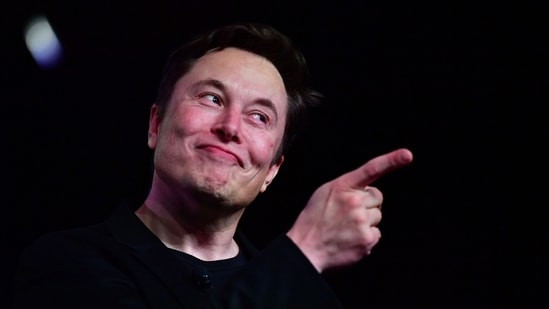 Tesla CEO Elon Musk took ownership of Twitter last week.(AFP)
