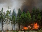 A view shows burning trees, as wildfires continue to spread in Europe. (REUTERS File)