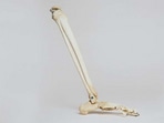Adult cancer survivors at higher risk of bone fractures: Research(Yahoo) Adult cancer survivors at higher risk of bone fractures: Research(Yahoo)