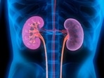 Long term exposure to air pollution can significantly damage kidney function in people.(Twitter/AshfordIns) Long term exposure to air pollution can significantly damage kidney function in people.(Twitter/AshfordIns)