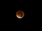 Last lunar eclipse of 2022: When, where and how to watch Chandra Grahan in India (Johannes Plenio) Last lunar eclipse of 2022: When, where and how to watch Chandra Grahan in India (Johannes Plenio)