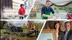 Shows such as Old Enough!, The Great British Bake Off, Fake or Fortune? and Wild Croc Territory focus on new themes such as toddler excursions and art, natural and culinary adventures. They also feature kind contestants, patient judges. Shows such as Old Enough!, The Great British Bake Off, Fake or Fortune? and Wild Croc Territory focus on new themes such as toddler excursions and art, natural and culinary adventures. They also feature kind contestants, patient judges.
