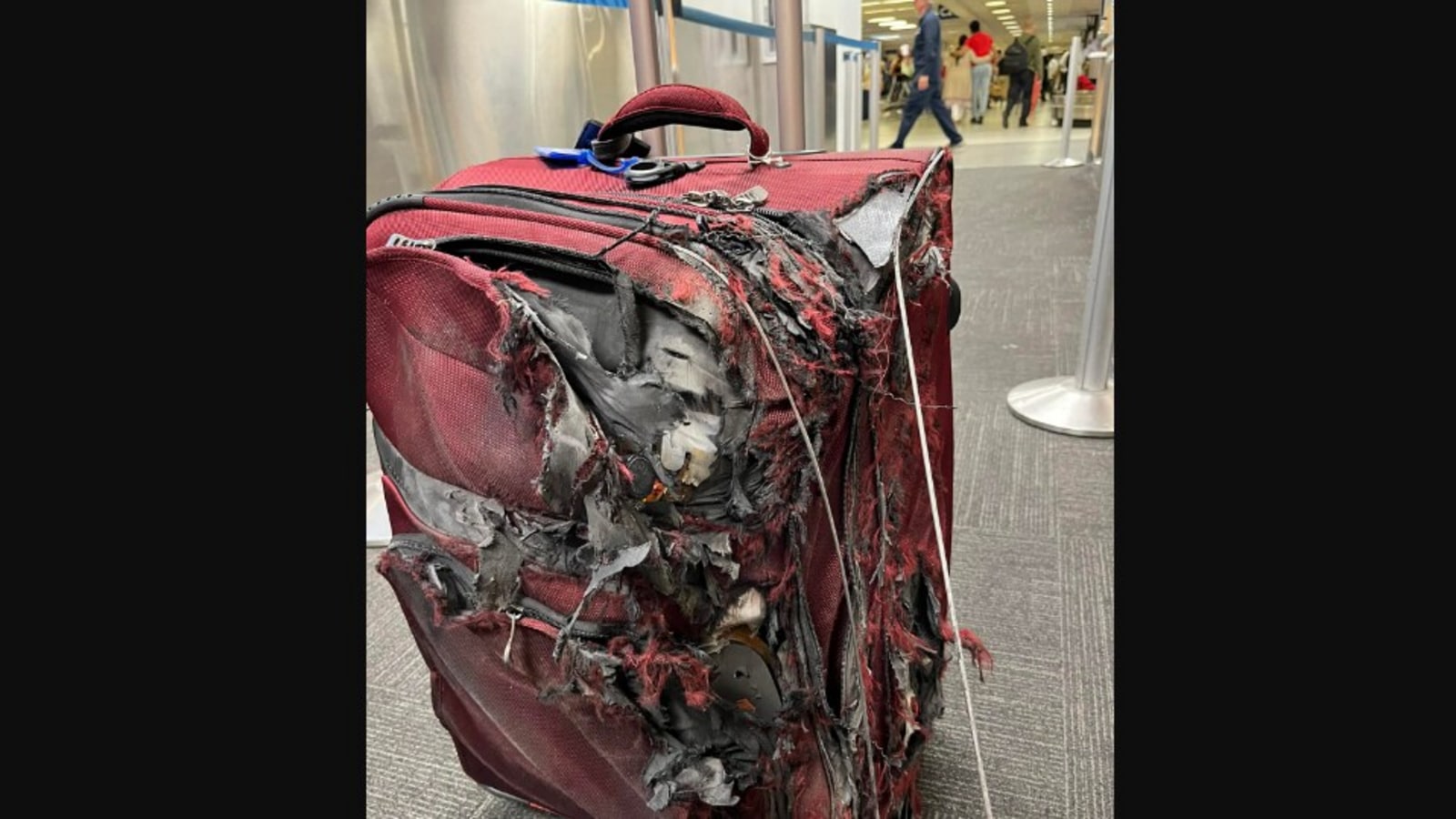 Delta rolled over and destroyed my luggage and now they want me to provide  receipts : r/delta