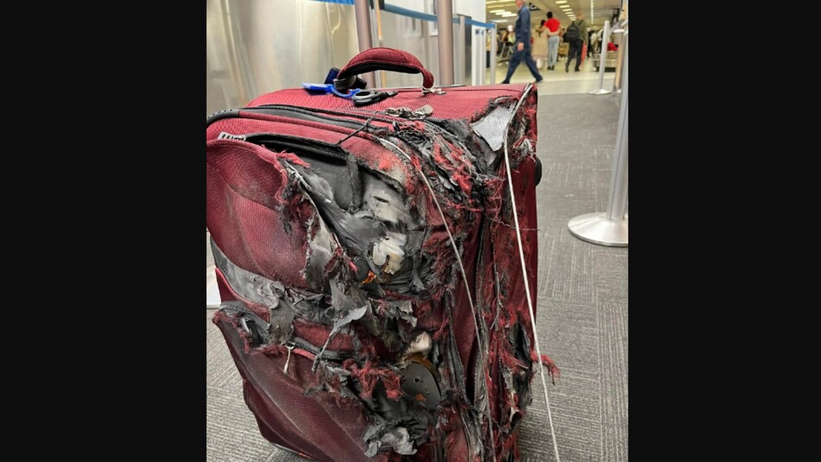 Suitcase damaged store by airline