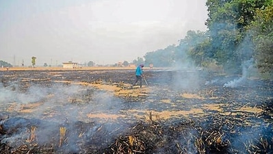 Raging farm fires leave 9 Haryana cities with ‘very poor’ AQI (PTI) (HT_PRINT) Raging farm fires leave 9 Haryana cities with ‘very poor’ AQI (PTI) (HT_PRINT)
