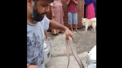 The image, taken from the Twitter video, shows the man rescuing a cobra from inside a scooter. (Twitter/@susantananda3)