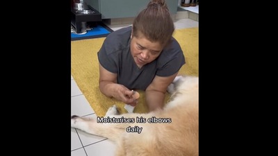 Woman taking care of an old dog. (Instagram/@_edoardo) Woman taking care of an old dog. (Instagram/@_edoardo)