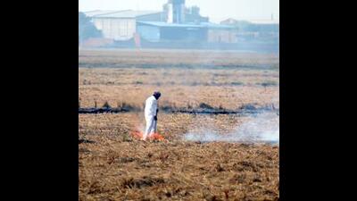 The air quality index (AQI) of Punjab continued to remain poor as thick layer of smog has enveloped the state, triggering a political slugfest over the stubble burning issue. (HT File Photo)