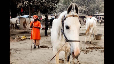 The disease is present in almost all the parts of the state with most of the cases being reported from Malwa region of Bathinda, Faridkot, Mukatsar Sahib, Mansa and Moga etc. (HT file photo) The disease is present in almost all the parts of the state with most of the cases being reported from Malwa region of Bathinda, Faridkot, Mukatsar Sahib, Mansa and Moga etc. (HT file photo)