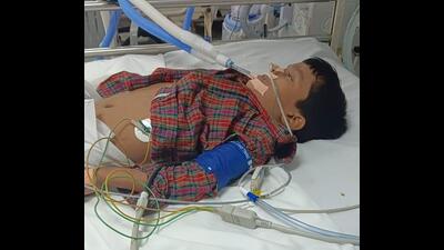 The school staff rushed the boy to Dayanand Medical College and Hospital, where his condition is reportedly critical. (HT)