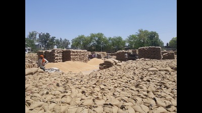 The councillor’s husband was arrested for allegedly purchasing paddy at cheap rates from states like Uttar Pradesh and Bihar and selling it at high rates in Punjab.