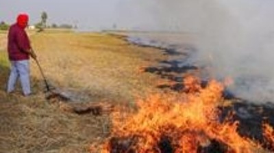 With the harvesting season at the fag-end in many parts of Punjab, farm fire incidents have seen a spurt in the state. (HT File Photo) (HT_PRINT) With the harvesting season at the fag-end in many parts of Punjab, farm fire incidents have seen a spurt in the state. (HT File Photo) (HT_PRINT)