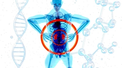 Watch out for these bad habits that lead to kidney failure (Image by Julien Tromeur from Pixabay ) Watch out for these bad habits that lead to kidney failure (Image by Julien Tromeur from Pixabay )