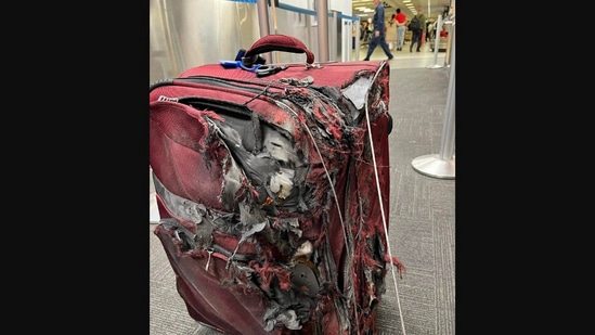 Destroyed luggage from the airport.(Reddit/@an0nym0ose)