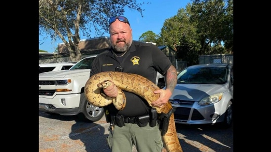 Florida officer catches snake.(Facebook/@St. Lucie County Sheriff's Office)