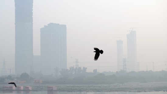 New Delhi: Birds fly through haze-enveloped sky, in New Delhi, Sunday, (PTI)