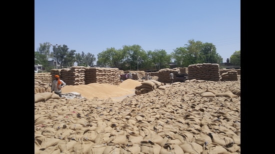 The councillor’s husband was arrested for allegedly purchasing paddy at cheap rates from states like Uttar Pradesh and Bihar and selling it at high rates in Punjab.