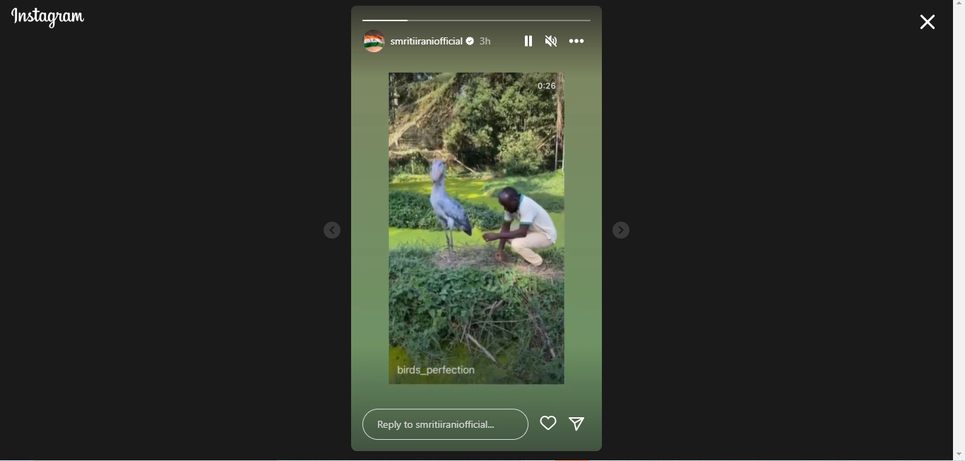 Instagram stories by Smriti Irani about a giant bird that might remind you of Harry Potter's Buckbeak(Instagram/@smritiiraniofficial)