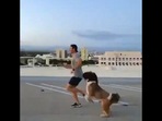 Dog and man jumping around. Dog and man jumping around.