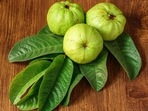 3 most delicious guava recipes to enjoy in the winter season (Shutterstock) 3 most delicious guava recipes to enjoy in the winter season (Shutterstock)