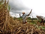 The country has advanced of the target year for 20% ethanol-blending by five years to 2025. Ethanol made from molasses, a sugar byproduct. (AP) The country has advanced of the target year for 20% ethanol-blending by five years to 2025. Ethanol made from molasses, a sugar byproduct. (AP)