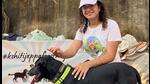 Starting today, 2000 stray dogs across Mumbai to get reflective collars Starting today, 2000 stray dogs across Mumbai to get reflective collars