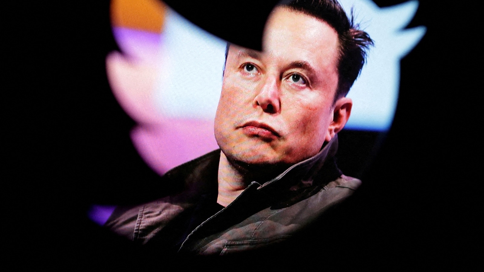 Not just blue tick fee, Musk's Twitter is planning these paid services for users