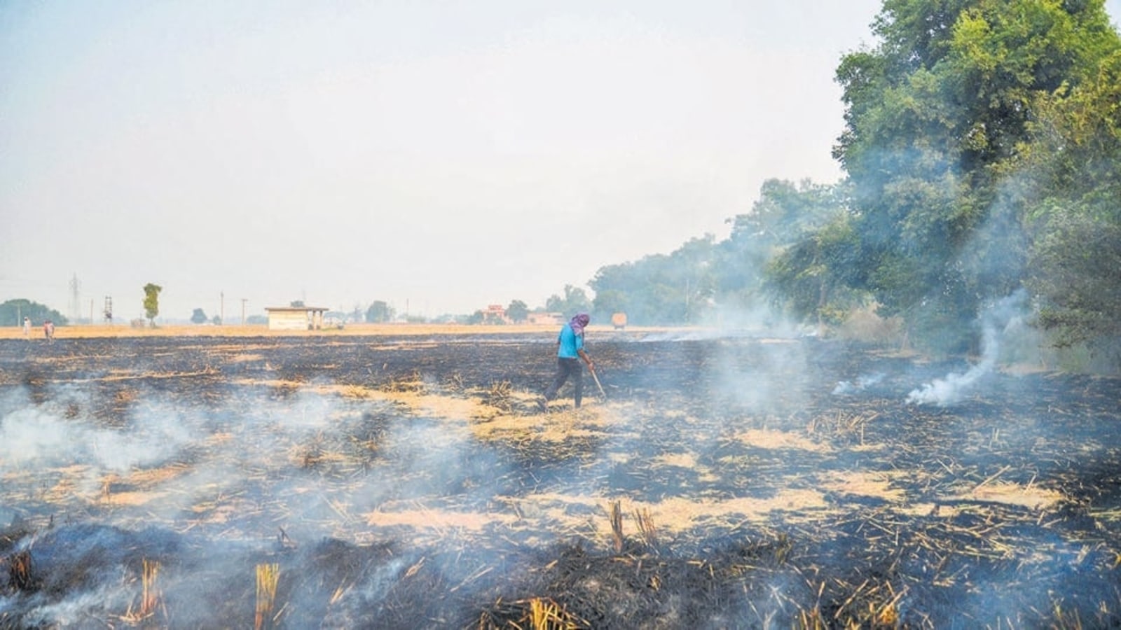 Terms of Trade | The problem, and the solution, to Punjab’s farming crisis