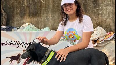 Starting today, 2000 stray dogs across Mumbai to get reflective collars