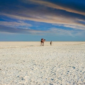 The Rann of Kutch in Gujarat is a beautiful destination to experience rich rural life. (Twitter/Gujarat Information Department) The Rann of Kutch in Gujarat is a beautiful destination to experience rich rural life. (Twitter/Gujarat Information Department)