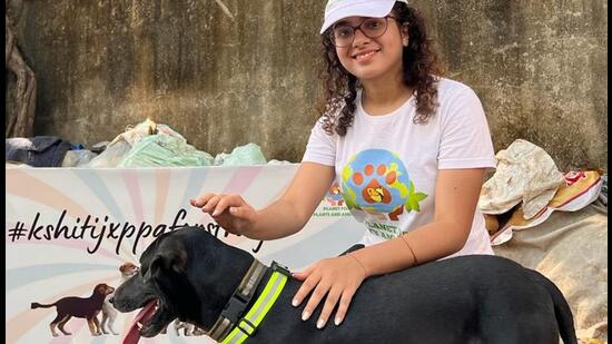 Reflective collars for stray 2024 dogs