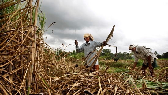 The country has advanced of the target year for 20% ethanol-blending by five years to 2025. Ethanol made from molasses, a sugar byproduct. (AP)